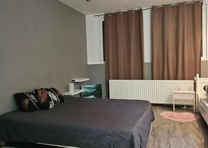Appartement De Caractere